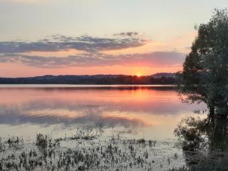 Gîte au bord du lac avec terrasse, idéal pour la famille - FR-1-611A-17 - Villegusien Le Lac - 4