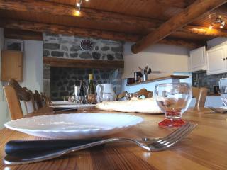 Gîte familial avec cour, ping-pong, proche Lyon et Clermont-Ferrand - FR-1-582-330 - 6