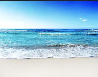 FURNISHED STUDIO ON BEACHROAD - 0