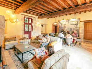 Château historique avec jardin, spa et salle de sport, idéal pour séminaires ou séjours détente - FR-1-426-516 - - 8