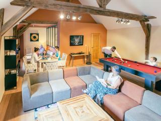 Château historique avec jardin, spa et salle de sport, idéal pour séminaires ou séjours détente - FR-1-426-516 - - 7
