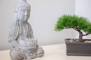 Downtown Steps to Holland College - 5