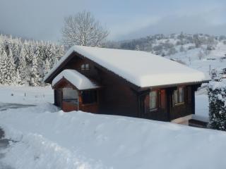 Chalet familial à La Bresse, proche randonnées, WIFI, animaux admis - FR-1-589-425 - La Bresse - 3