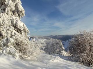 Chalet familial à La Bresse, proche randonnées, WIFI, animaux admis - FR-1-589-425 - La Bresse - 1