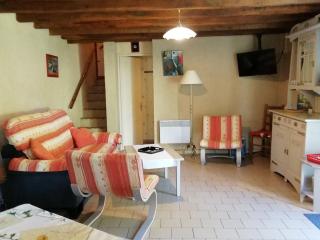 Gîte tout confort avec jardin fleuri, idéal pour pêche et balades, proche du Blanc et activités aériennes - FR-1-591-379 - Saint-Hilaire-sur-Bénaize - 1