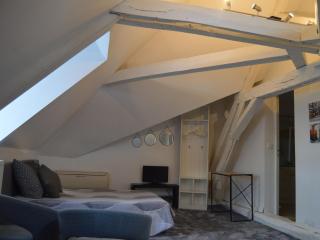 Chambre spacieuse pour 4 pers. avec SDB privée et PDJ inclus à Châteauroux - FR-1-591-388 - Châteauroux - 9