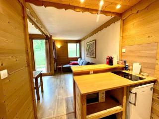 Superb studio Terrace Ski in Montchavin - 2
