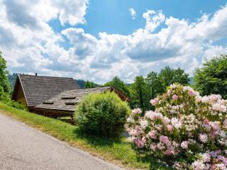 Chalet ensoleillé dans les Hautes Vosges avec terrasse, local vélos et skis, charges incluses - FR-1-589-486 - Thiéfosse - 6