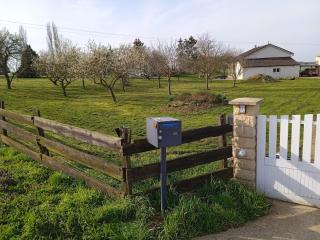 Évasion Tranquille entre Briey et Longuyon - Chambre d'Hôtes sur 5 Hectares - FR-1-584-288 - - 9