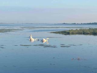 The Hideaway - Emsworth - 8