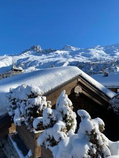 Chalet La Grande Ourse Meribel - superior duplex apartment - 3