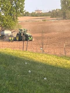 House on Farm - Rosemonte - 9