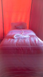 Horaz Luxury camp - 8