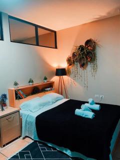 City Central Amazona Appartment - Tirana - 6