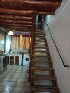 Madre zelva - Las Heras - 9
