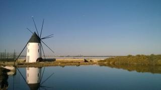 Casa Philippot - Murcia - 4