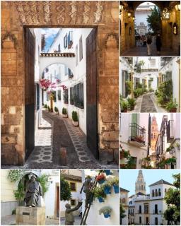 Apartamento céntrico en el casco histórico de Córdoba - Córdoba - 5