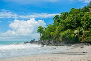 Arenas Del Mar Beachfront & Rainforest Resort Member of the Cayuga Collection - Manuel Antonio - 1