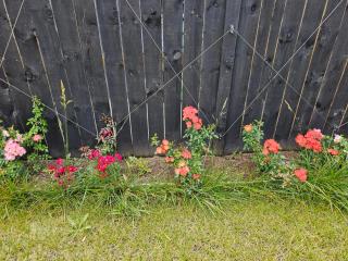 Tui Nest Garden Unit - Silverdale - 2