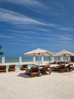 Uroa Zanzibar Vera Beach Hotel by Moonshine - Dikoni - 5