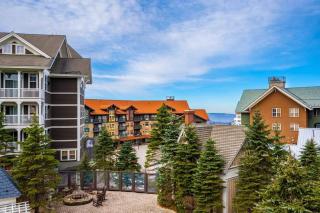 Allegheny339 Hot/Tub/Pool,Ski In/Out,Village - 4