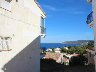 ARAN 14 - Apartamento acogedor y con muy buenas vistas del mar. - ES-228-86 - Llança - 5