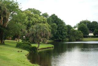 Florida Sunset Villa - Disney Rental - Kissimmee - 9