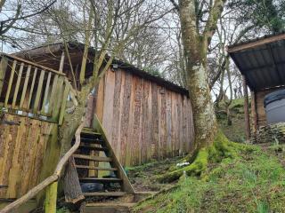 Tree House - Aberaeron - 8