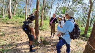 Batu Kapal Guest House & Jungle trekking - Bukit Lawang - 3