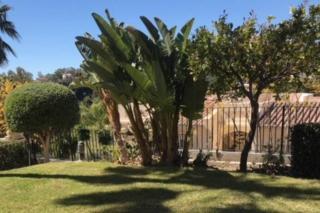 Apartment in Marbella: San Pedro Alcantara - 0