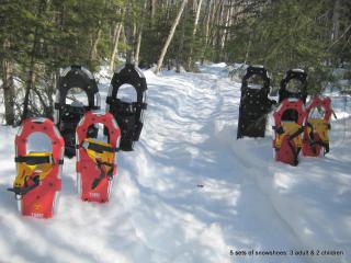 Winter Lakefront Chalet - Serendipity Hideaway - Ski, Skate, Snowshoes & Relax by the Cozy Fire - 8