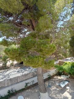 Le Mas Palegry Chambres d'hôtes Perpignan - 1