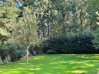 Vakantiehuis De koolmees, in een bosrijke natuur. - 4