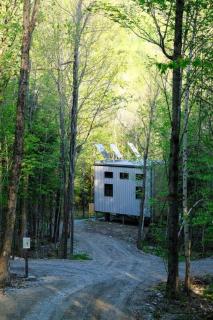 Cabin Zoobox 55 - Eastman - 7