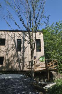 Cabin Zoobox 57 - Eastman - 7