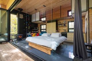 Cabin Zoobox 62 - 7