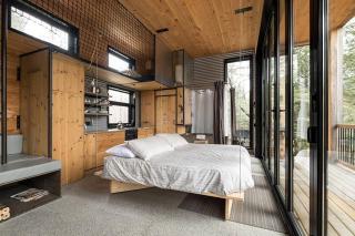 Cabin Zoobox 68 - Eastman - 6