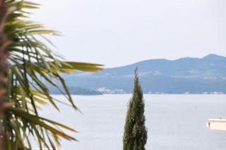 House Rosemary - Komarna - 1