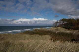 Studio 11 im Haus Stranddistel, modernes Studio im 1 OG fur 2 Personen in Zingst - Zingst - 6
