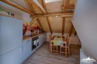 Auszeit im Harz - Haus 2 Wohnung 5 - Schierke - 7