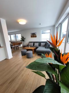 Winterberg Appartement 21129 - 5