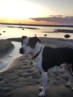 Mountain View Studio - Raglan - 2