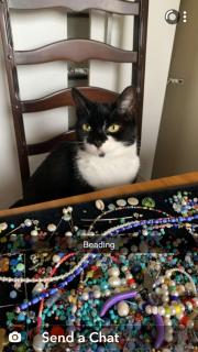 Mountain View Studio - Raglan - 3