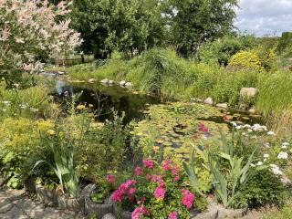 Reethaus Vilmnitz Reethaus Vilmnitz - Fewo "Muglitz" - 1