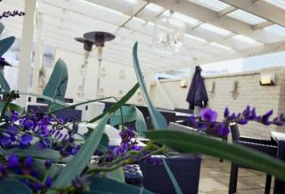 Escape To Picton Boutique Hotel - Picton - 1