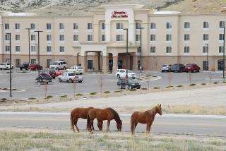 Hampton Inn & Suites Green River - Green River - 7