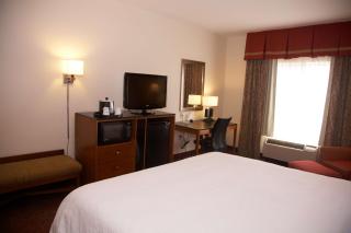 Hampton Inn & Suites Hobbs - Hobbs - 9