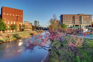 Hampton Inn & Suites Greenville-Downtown-Riverplace - Greenville - 2