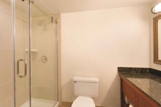 Embassy Suites Greenville Golf Resort & Conference Center - Greenville - 2