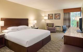 DoubleTree by Hilton Houston Intercontinental Airport - Houston - 7
